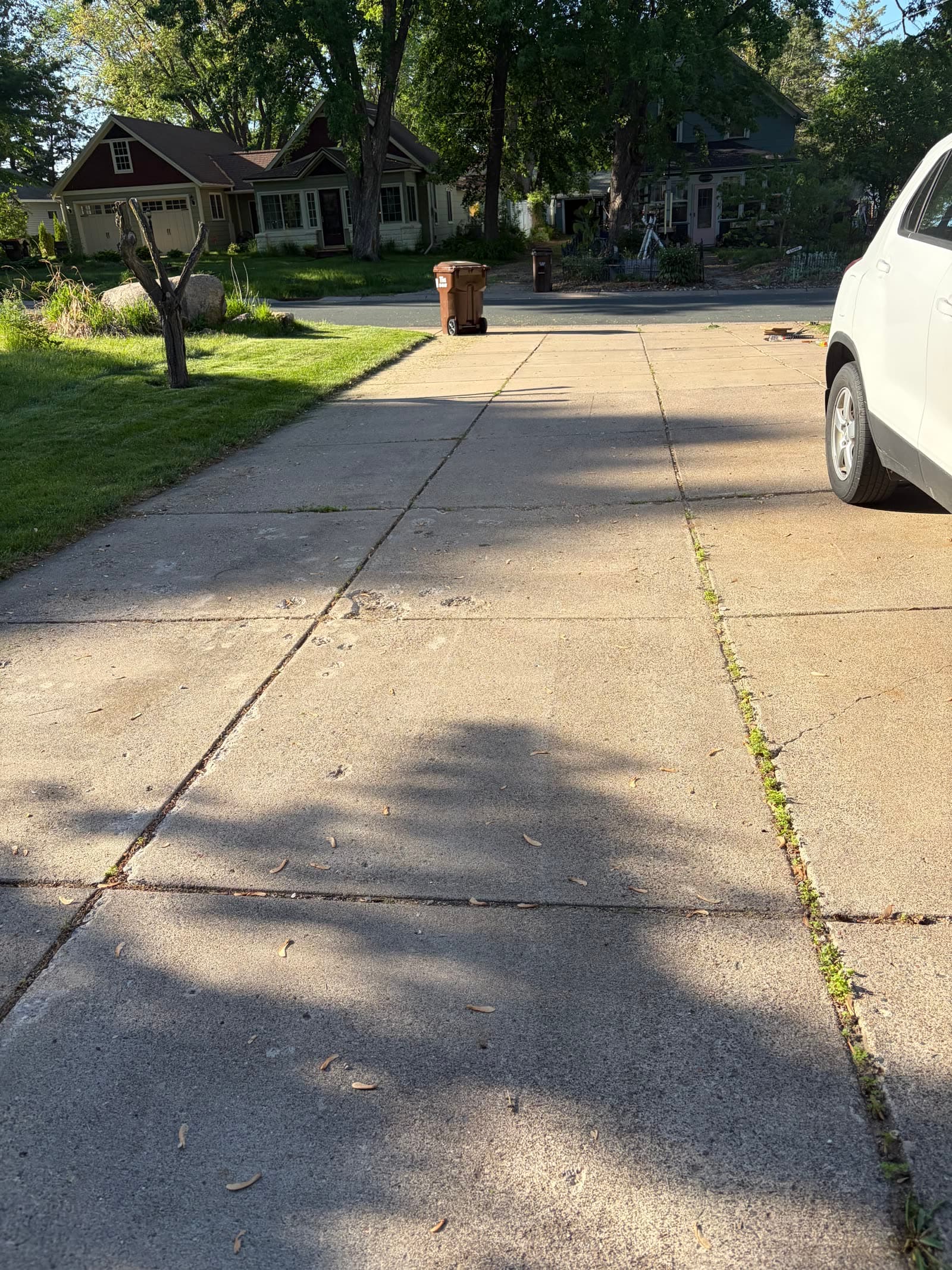 Driveway before cleanup with grass and weeds growing through concrete seams